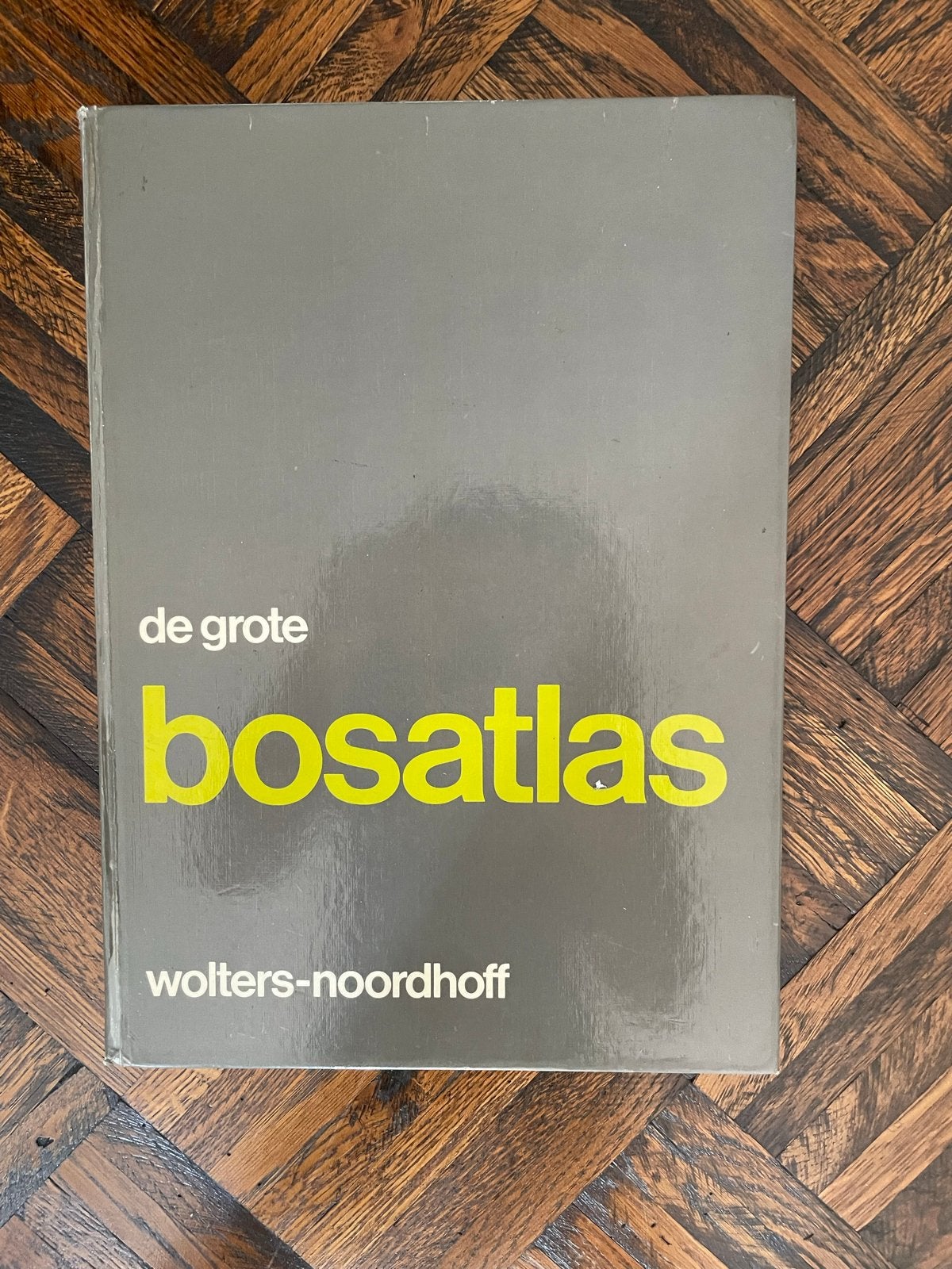 De Grote Bosatlas 48e druk Wolters-Noordhoff, Gelezen, Bosatlas, Ophalen of Verzenden, 1800 tot 2000