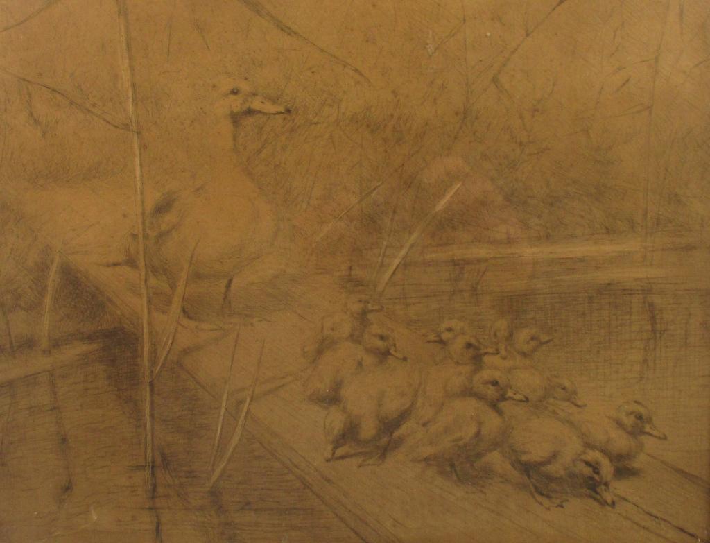 Ets  Moeder Eend met pulletjes J F Hulk ( 1855 - 1913 ), 1800 - 1899, Ets, Ingelijst, Ophalen of Verzenden