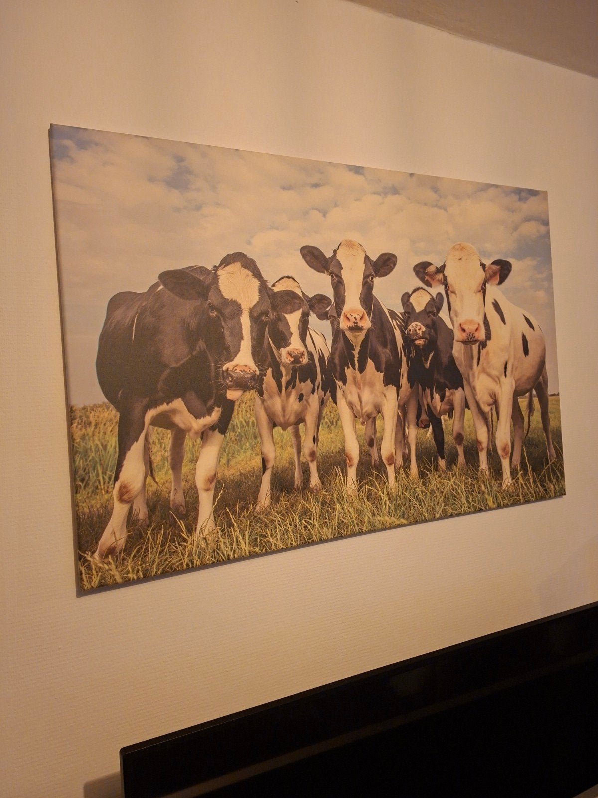 Canvas schilderij met koeien 120x80cm, Ophalen, Gebruikt, Schilderij, 100 tot 125 cm