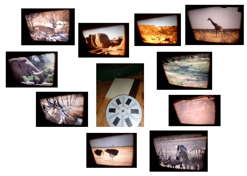 8mm film - amateur - Namibië - 1x180mtr - 1989 - mooi -, Ophalen of Verzenden, 8mm film