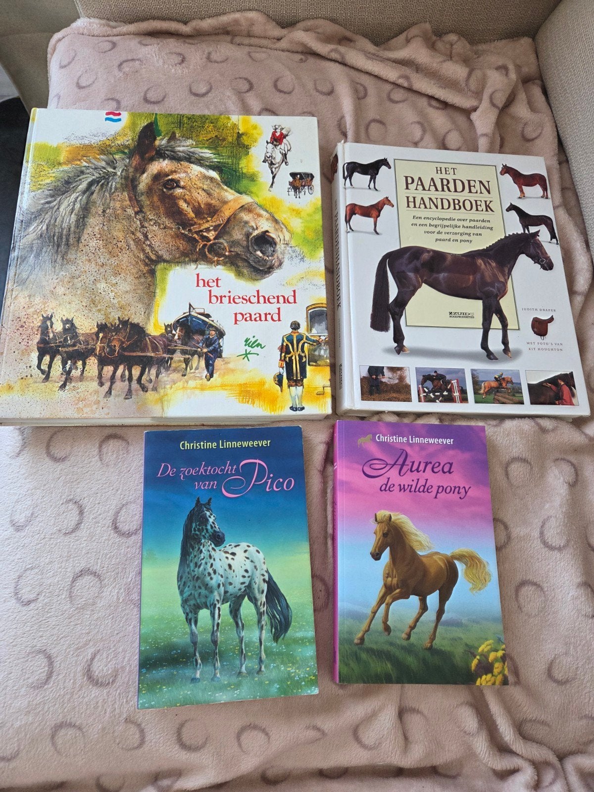 Paarden boeken, Ophalen of Verzenden, Gelezen, Christine Linneweever, Ingrid Gräper, Fictie algemeen