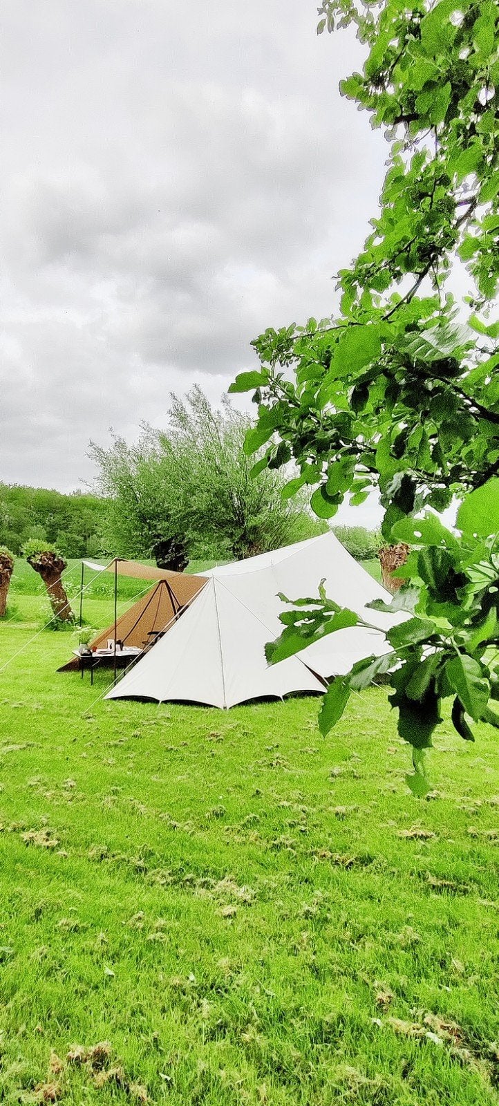 Te koop de Waard Albatros, Caravans en Kamperen, Tenten, Ophalen, Gebruikt