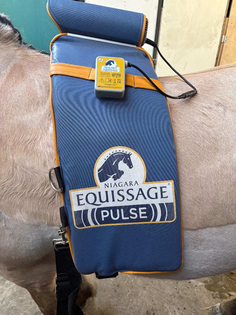 Gezocht Niagara Equissage Pulse (ouder model voor de rug)., Dieren en Toebehoren, Ophalen of Verzenden, Gebruikt, Overige soorten