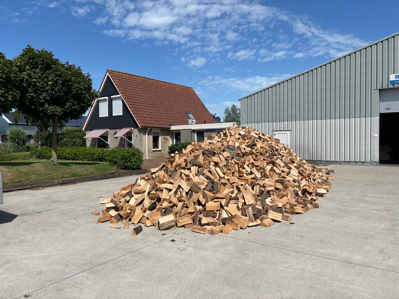 Beukenhout windgedroogd, 6 m³ of meer, Ophalen, Beukenhout, Blokken