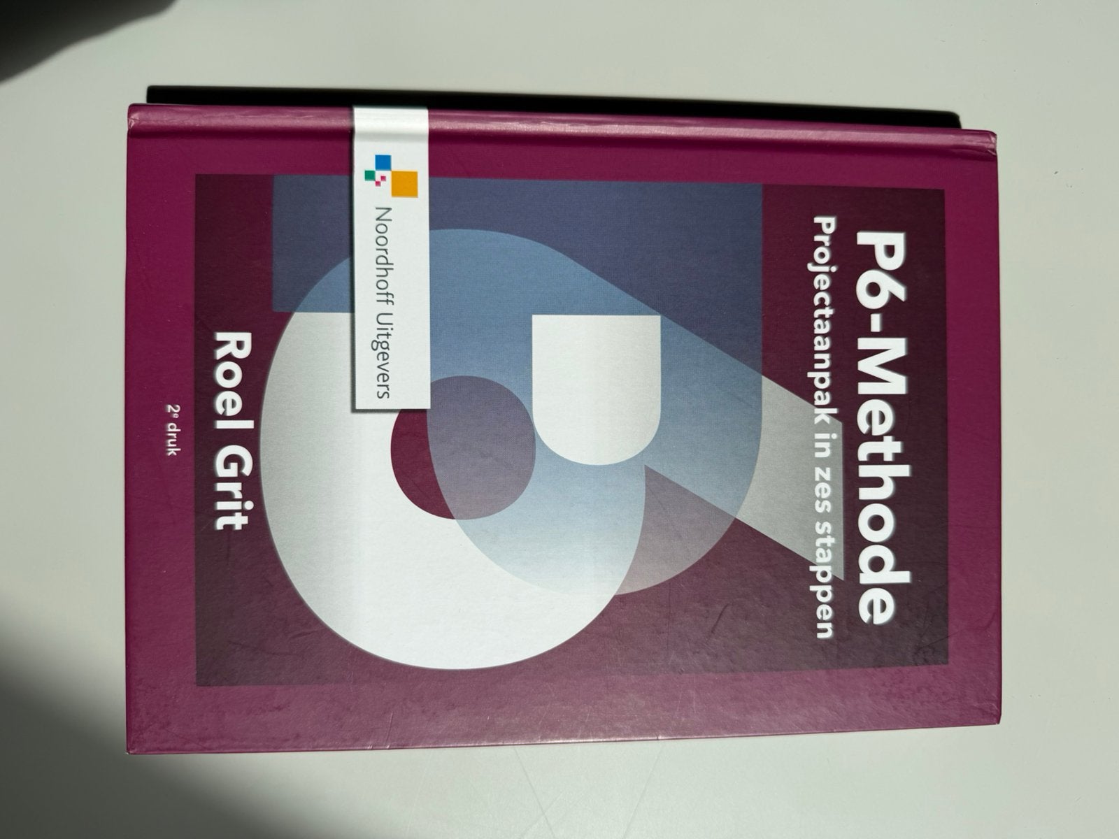 Roel Grit - Projectaanpak in zes stappen - 2e druk, Sociale wetenschap, Roel Grit, Ophalen of Verzenden, Zo goed als nieuw