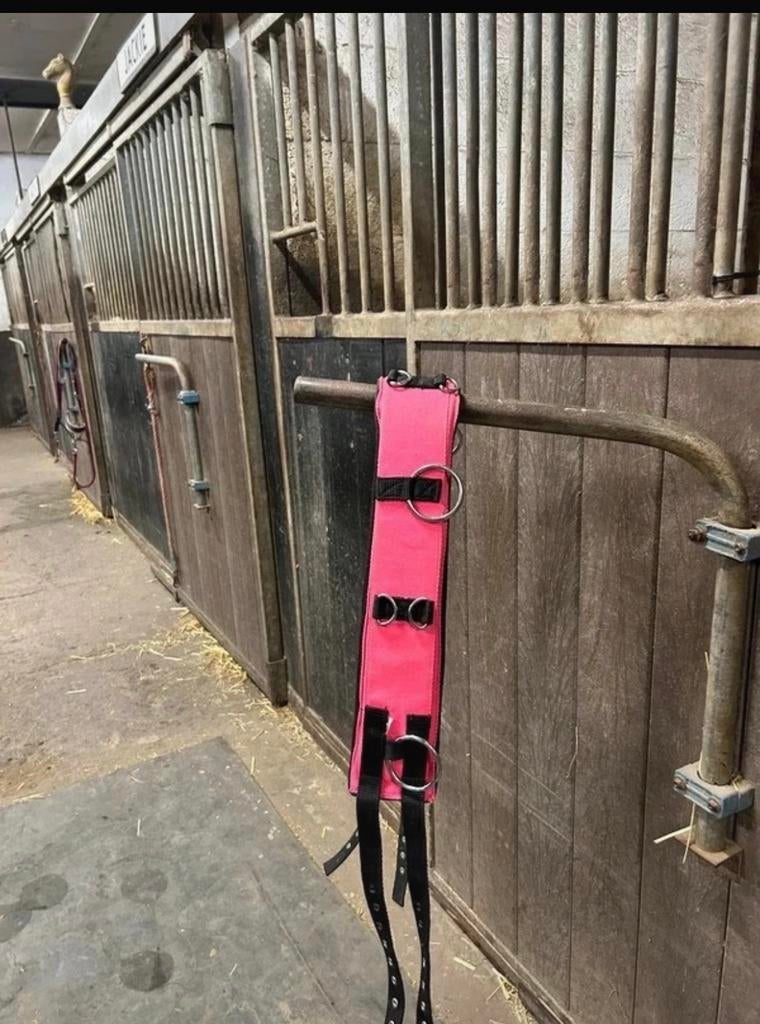 Longeersingel, Dieren en Toebehoren, Ophalen of Verzenden, Zo goed als nieuw, Dressuur