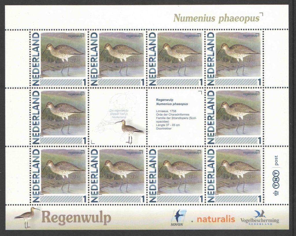 Postzegels Vogels in Nederland: Regenwulp, Ophalen of Verzenden, Na 1940, Postfris