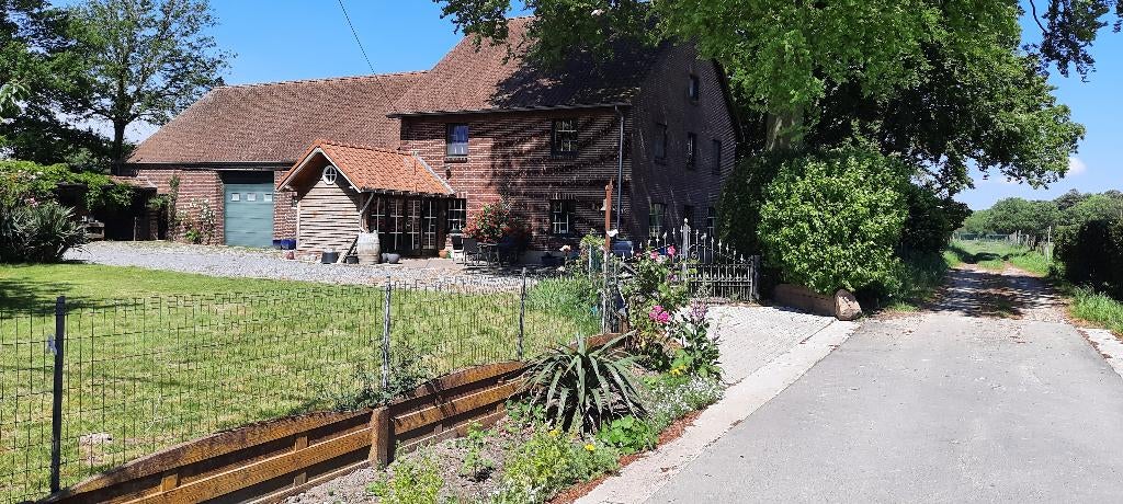 Voormalige boerderij in Belgisch Limburg, Huizen en Kamers, Buitenland, 250 m², Woonhuis, Peer, 3 kamers