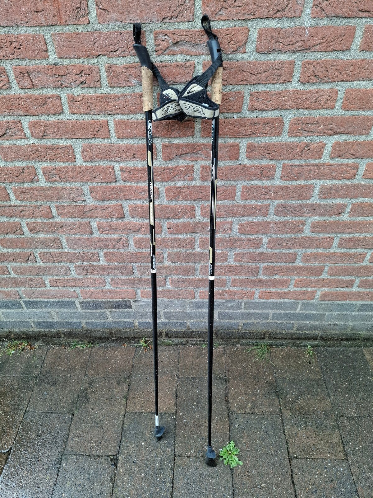 Exel Nordic Walking Stokken - Gebruikt, Ophalen of Verzenden, Gebruikt, Wandelstok