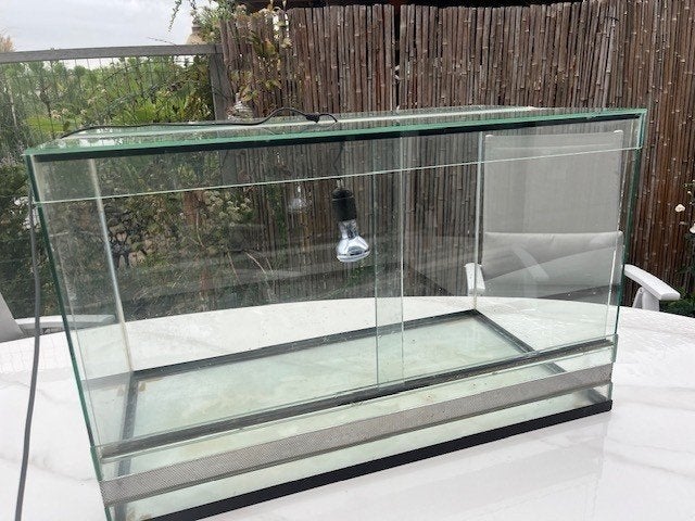 Glazen Terrarium te koop, Ophalen, Zo goed als nieuw, Terrarium of Paludarium