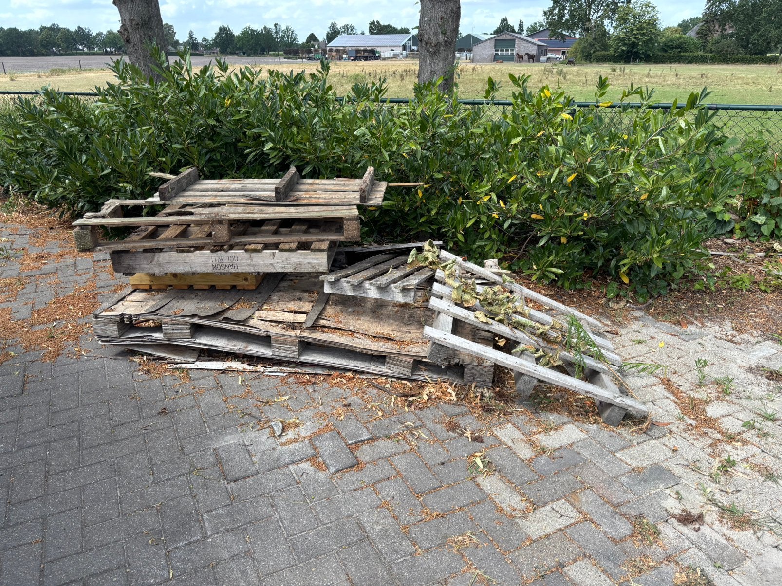 Oude pallets als brandhout haardhout stookhout, Tuin en Terras, Minder dan 3 m³, Ophalen
