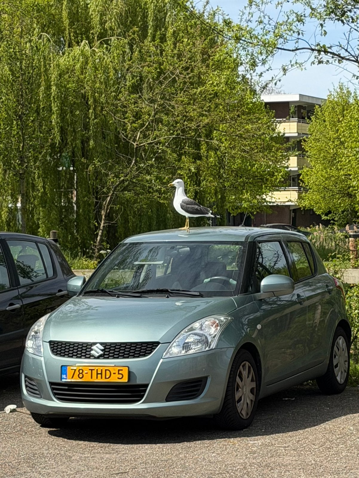 Suzuki Swift 1.2 5-D AUT 2012 Groen, Auto's, 40 €/maand, 4 cilinders, 965 kg, Swift