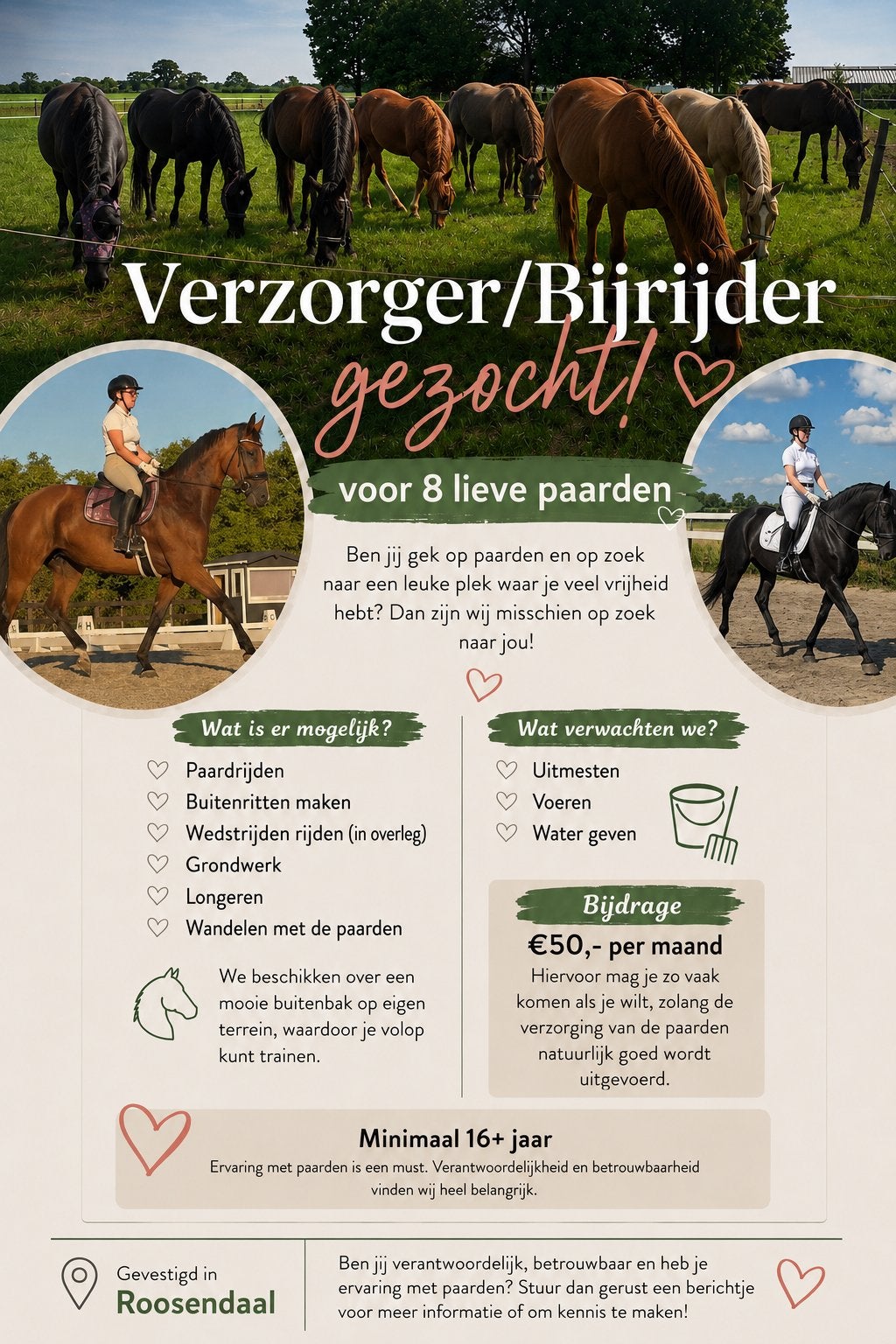 Verzorger / bijrijder gezocht omg roosendaal, Dieren en Toebehoren, Ophalen of Verzenden
