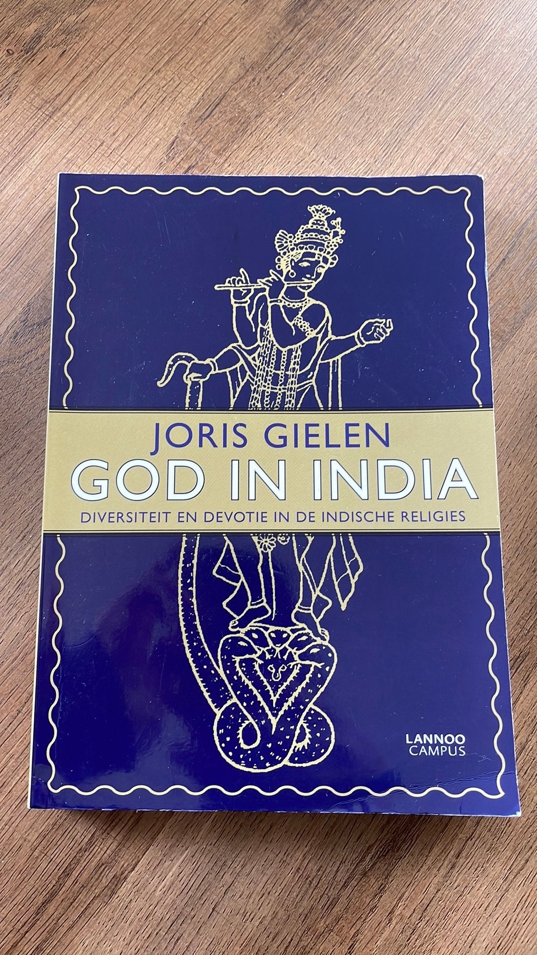 Joris Gielen - God in India, Boeken, Godsdienst en Theologie, Hindoeïsme, Verzenden, Zo goed als nieuw, Joris Gielen