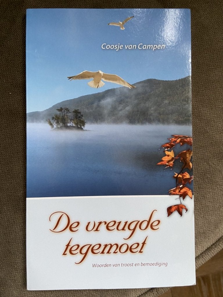 De vreugde tegemoet Cretien van Campen 9789076430430, Boeken, Ophalen of Verzenden, Zo goed als nieuw, Cretien van Campen, Christendom | Protestants