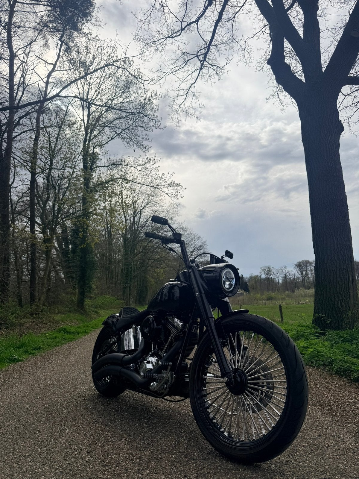 Harley Davidson Fatboy custom, 2 cilinders, Chopper, Particulier, Handgeschakeld