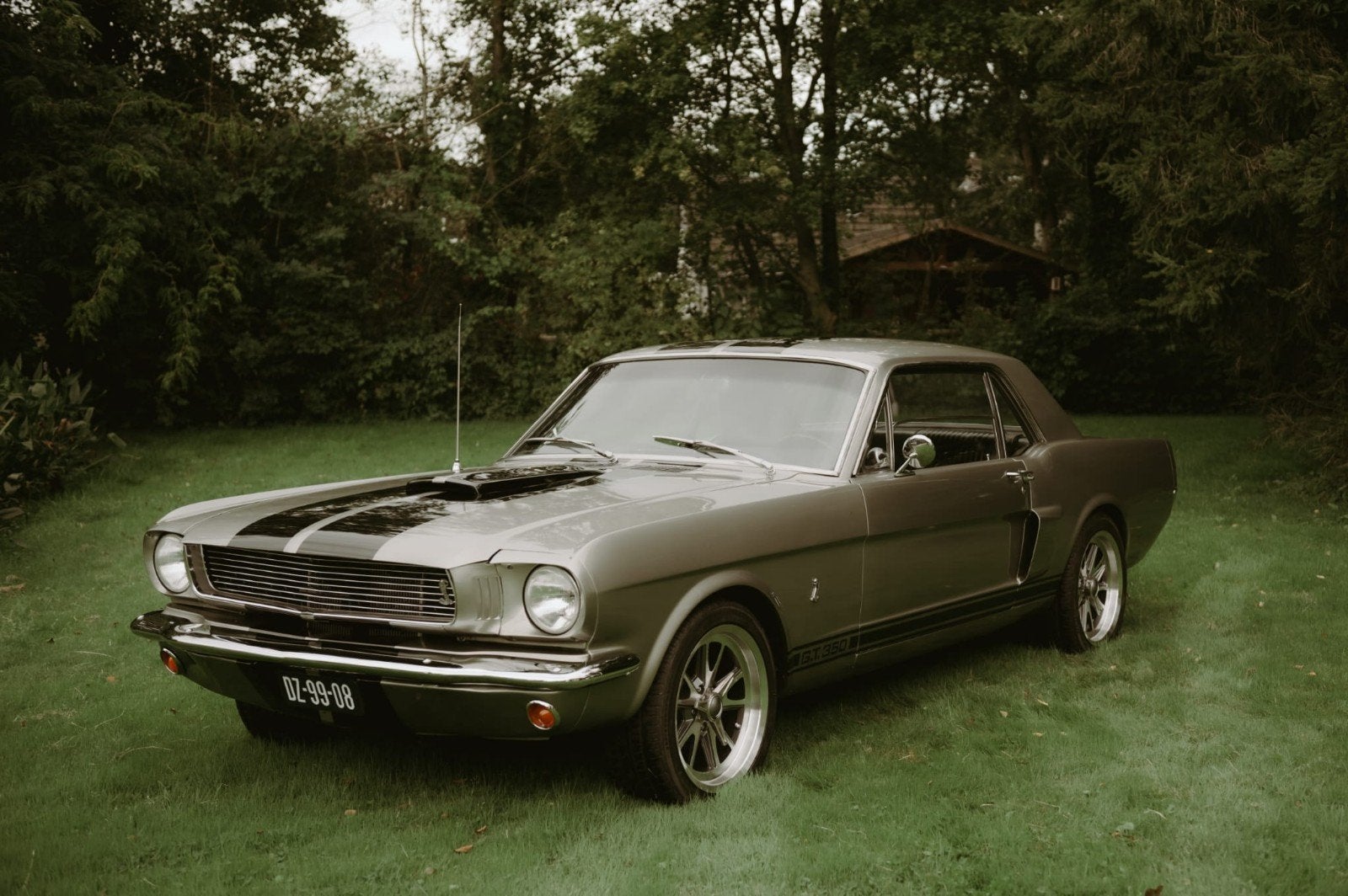Ford Mustang GT350 – 1965 – V8 – Hurst Handgeschakeld, Auto's, Achterwielaandrijving, Zwart, Leder, Particulier