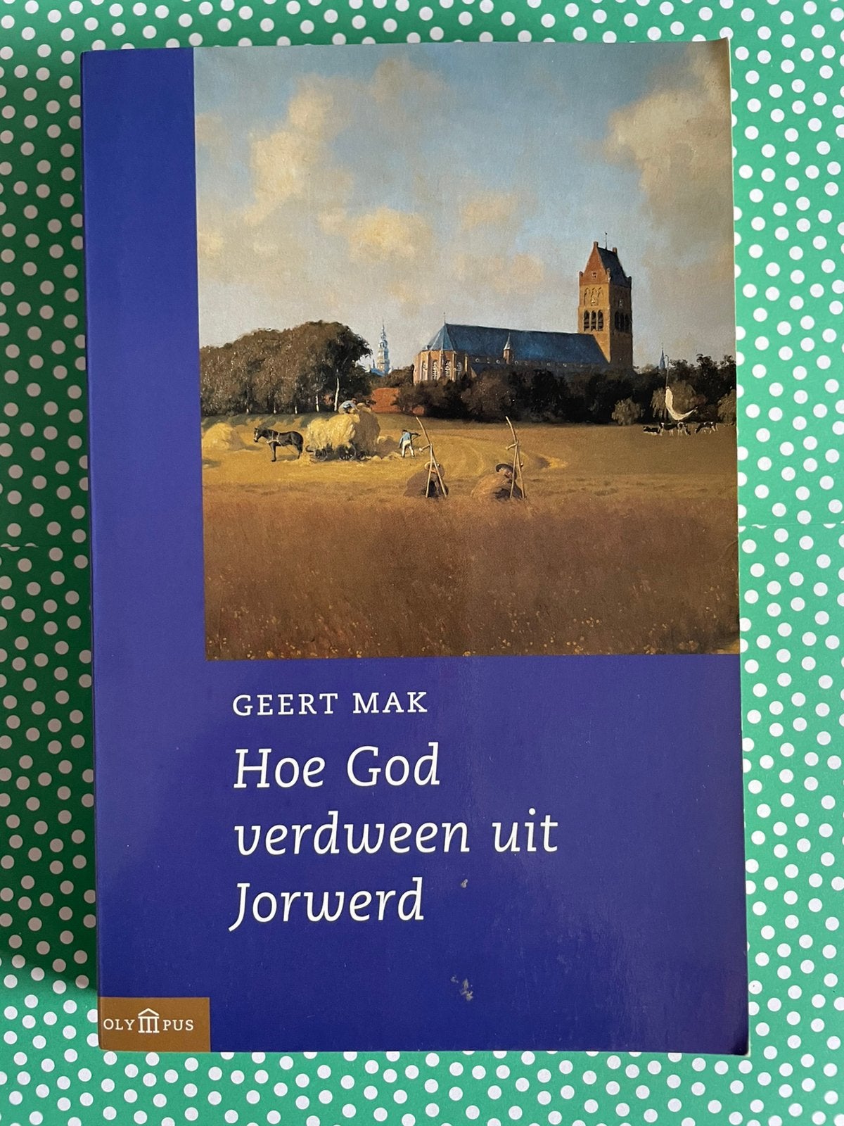 Hoe God verdween uit Jorwerd, Geert Mak, Ophalen of Verzenden, Zo goed als nieuw, Nederland