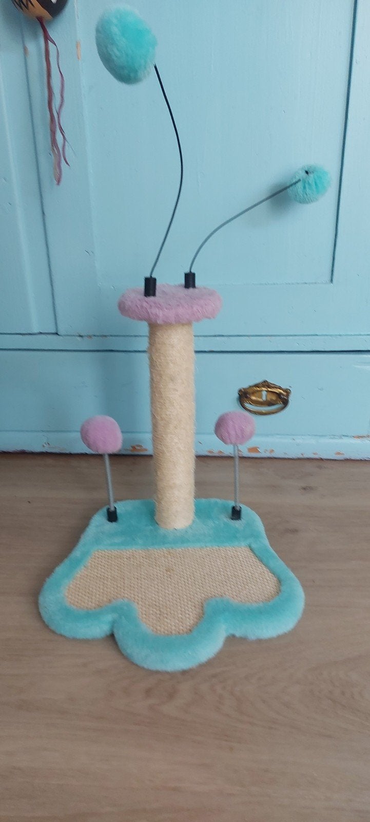 krabpaal kittens, Ophalen, Nieuw, Krabpaal