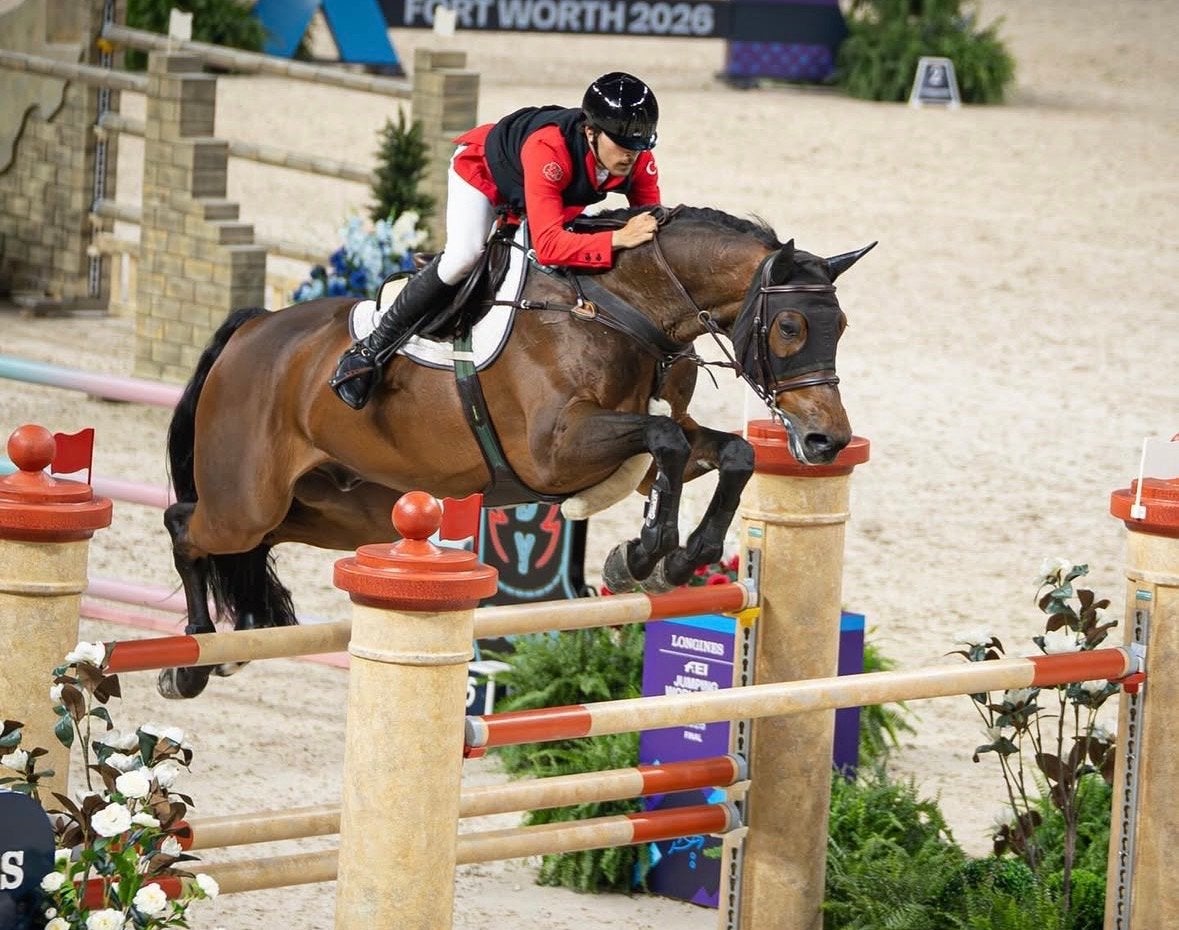 Fulltime 5 Groom / Paardenverzorger, Vacatures, 33 - 40 uur, Vanaf 5 jaar, Vast contract