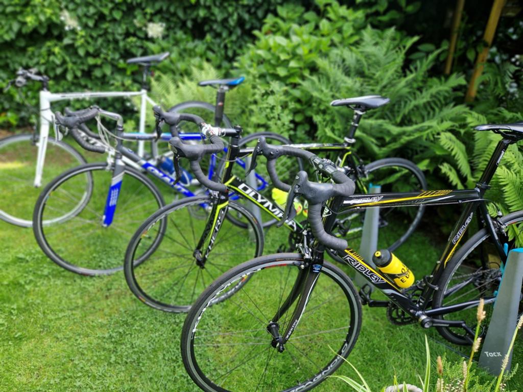 Ridley maat56,Olympia 56 ,Giant tcr 50, Giant escape RX XL, Fietsen en Brommers, Gebruikt, Meer dan 20 versnellingen, 53 tot 57 cm