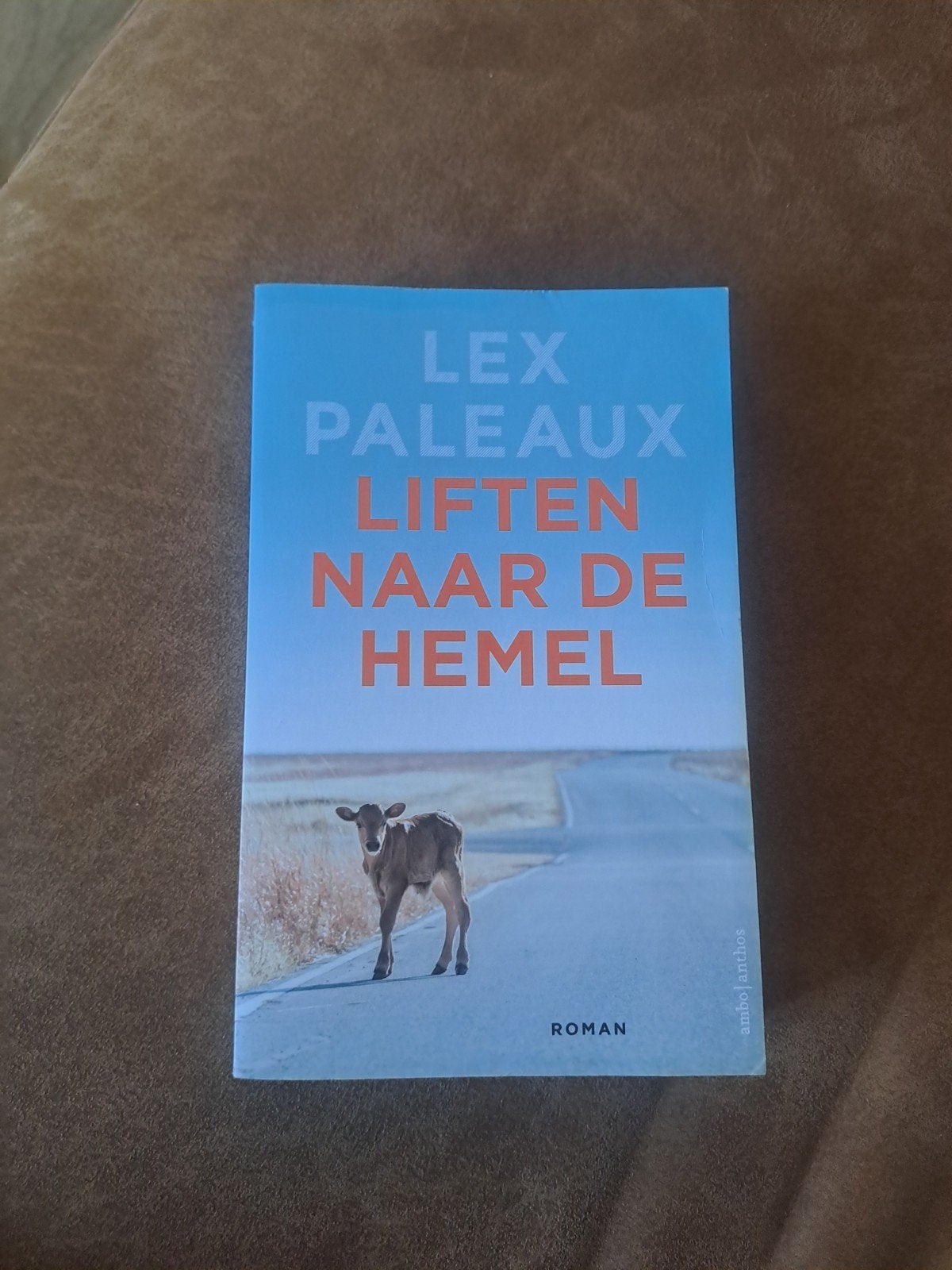 Liften naar de hemel - Lex Paleaux (Zo goed als nieuw), Ophalen of Verzenden, Zo goed als nieuw