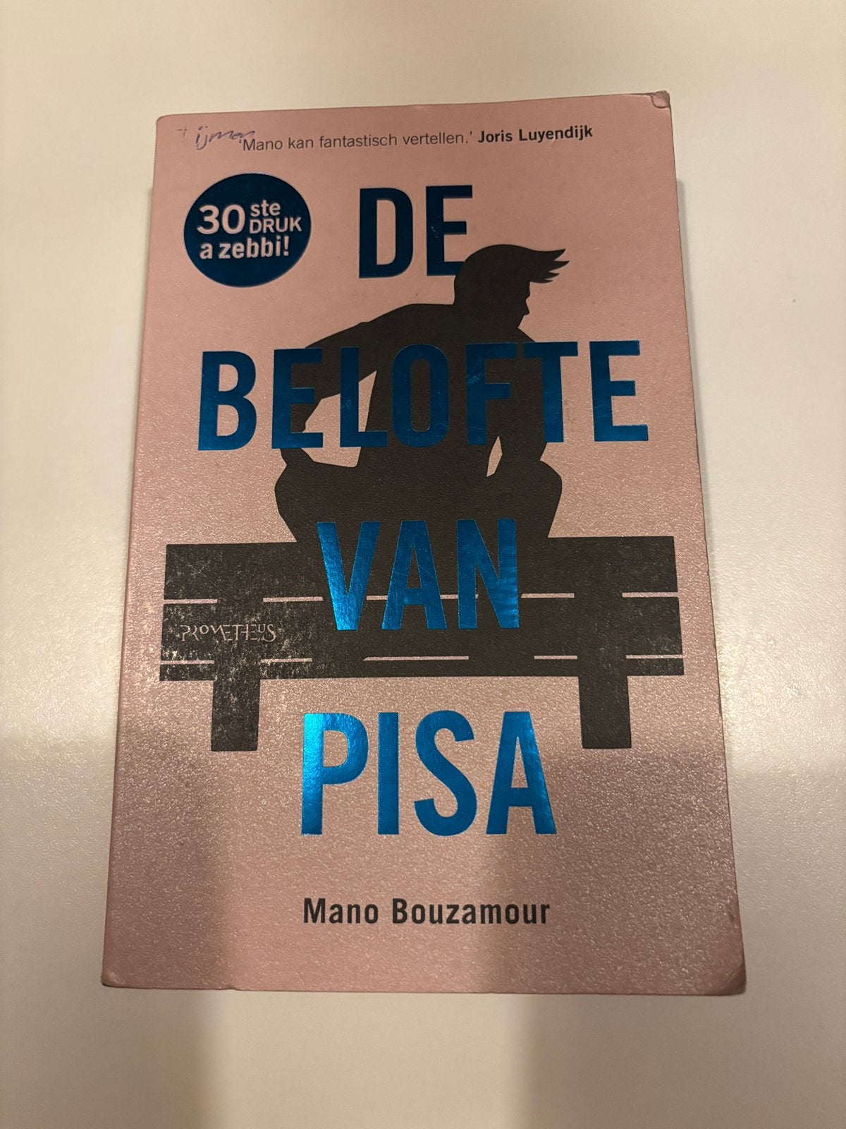 De belofte van Pisa, Boeken, Ophalen of Verzenden, Gelezen