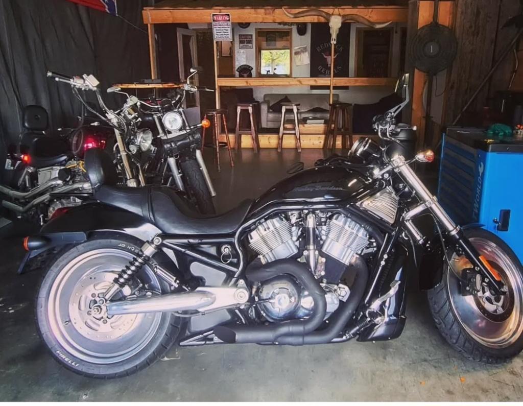 Harley davidson V-rod, Motoren, Motoren | Harley-Davidson, Sportuitlaat, 2 cilinders, Occasion, Chopper