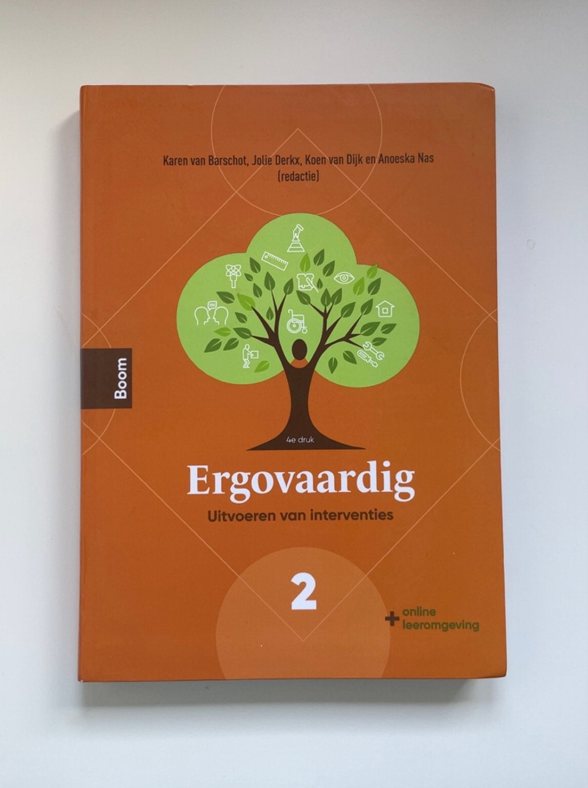 Ergovaardig 2: Uitvoeren van interventies (4e druk), Boeken, Ophalen of Verzenden, Gamma, Zo goed als nieuw, HBO