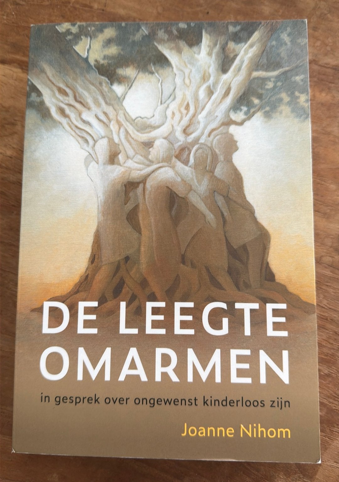 Joanne Nihom - De Leegte Omarmen, Joanne Nihom, Ophalen of Verzenden, Zo goed als nieuw, Nederland