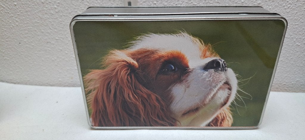 Metalen bewaarblik met Cavalier King Charles hond, Ophalen of Verzenden, Gebruikt, Overige, Overige merken