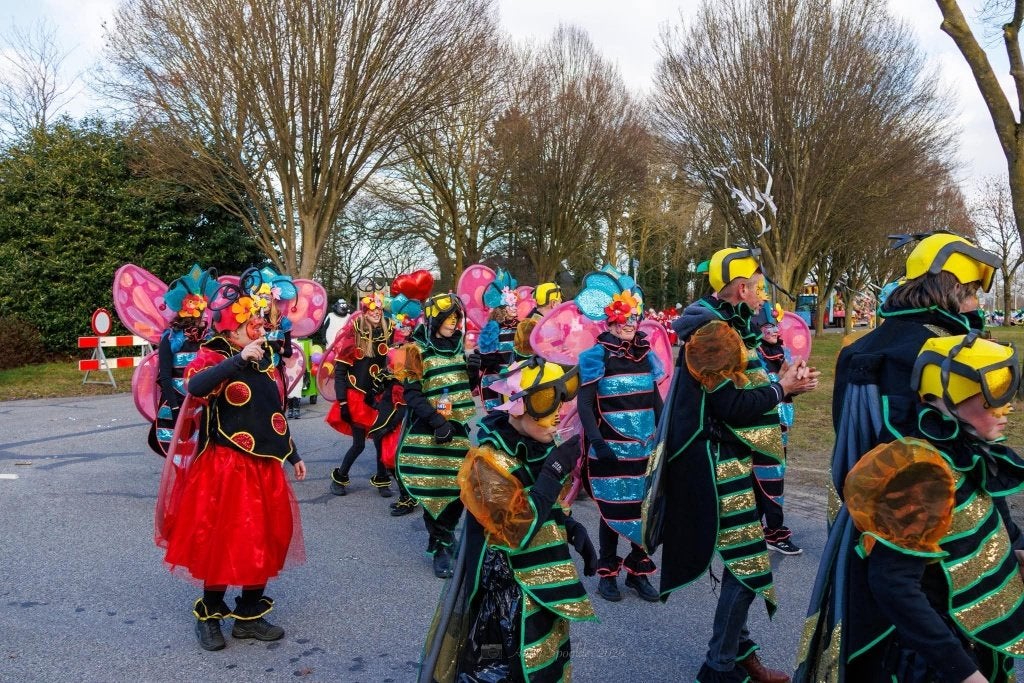Carnaval (grote) loopgroep lentekriebels, Ophalen, Zo goed als nieuw, Maat 46/48 (XL) of groter, Carnaval