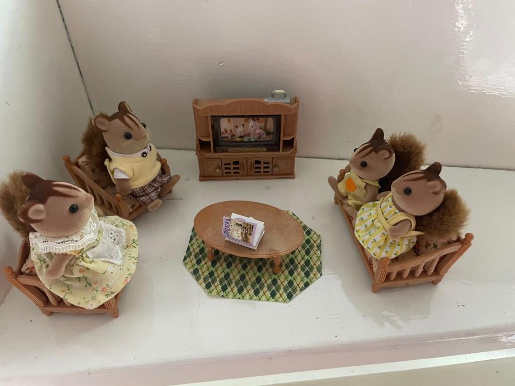 Sylvanian, Kinderen en Baby's, Speelgoed | Poppenhuizen, Ophalen, Zo goed als nieuw, Toebehoren