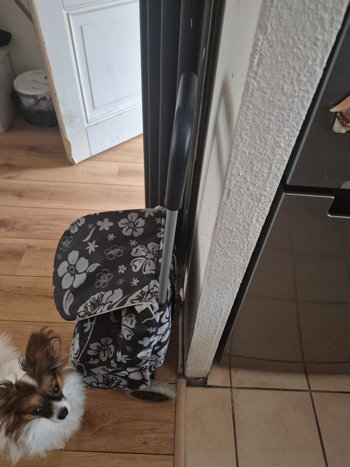 boodschappen trolley, 80 cm of meer, Zo goed als nieuw, 75 cm of meer, Wieltjes