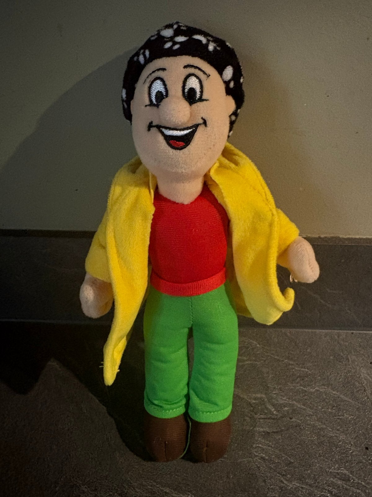 Ernst Bobbie en de rest zachte knuffel, Gebruikt, Overige typen, Ophalen of Verzenden, Middelgroot (20 tot 80 cm)