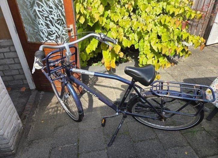 Gazelle fiets