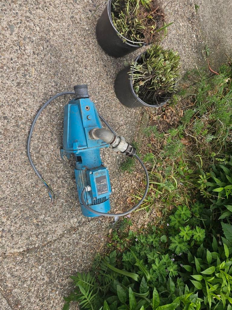 Zware calpeda waterpomp krachtstroom 9.5 kub, Ophalen, Gebruikt, Elektrisch, Beregeningspomp