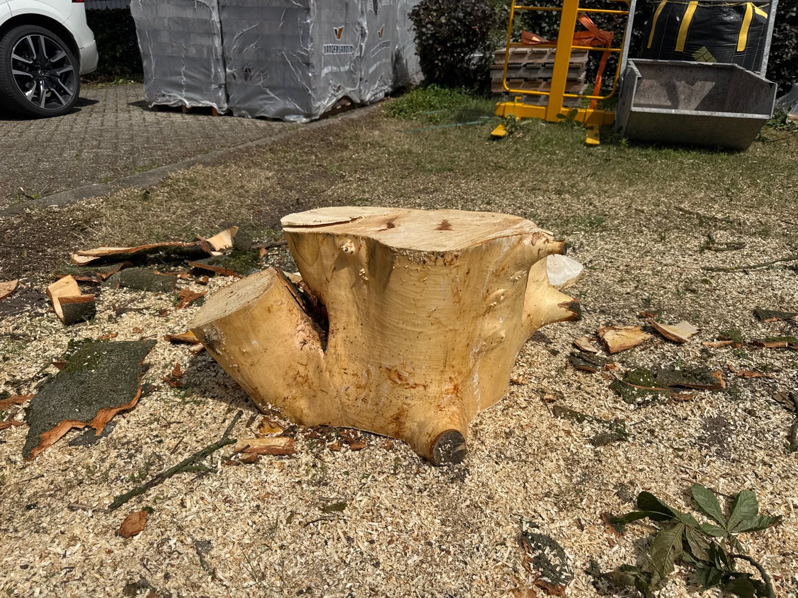 Massief blok kastanje stam - Uniek decoratiestuk, Overige typen, Nieuw, Ophalen of Verzenden, Hardhout