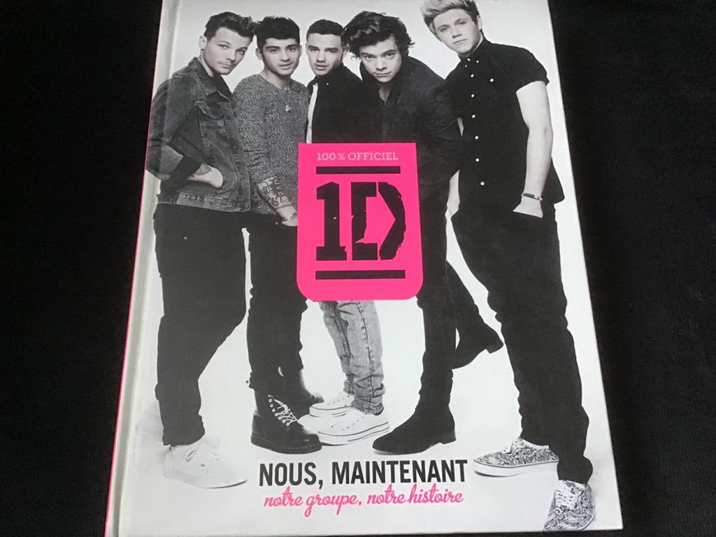 One Direction, Nous maintenant, notre Groupe, notre Histoire, Ophalen of Verzenden, Zo goed als nieuw, Artiest