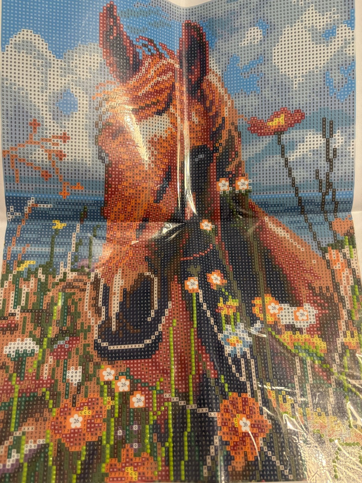 Diamond Painting Paard - paar diamonds geplakt, Ophalen, Gebruikt, Meerkleurig, Kunststof