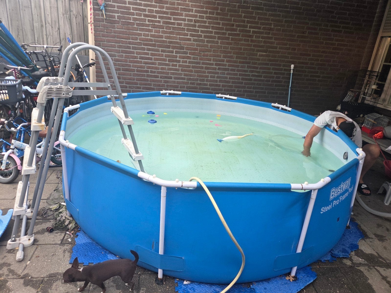 Bestway Steel Pro Frame Pool - Rond opzetzwembad, Ophalen, Gebruikt, 80 tot 120 cm, Rond