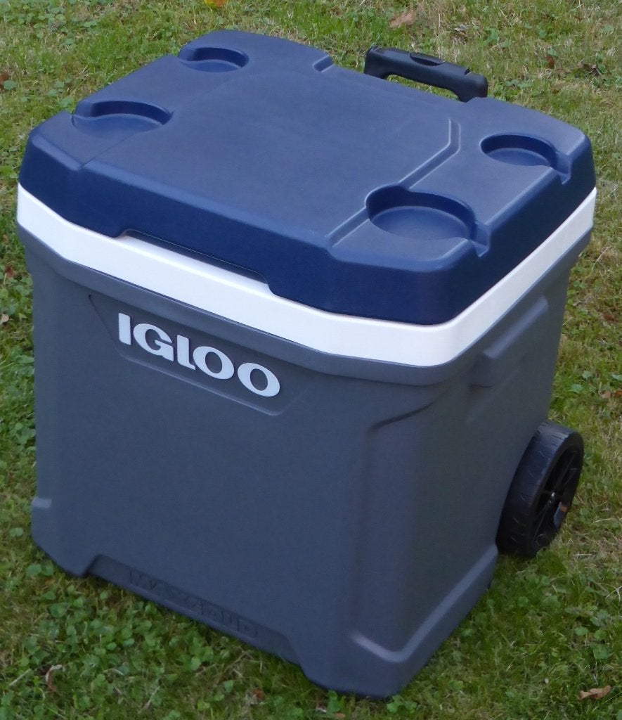 Igloo Maxcold koelbox 58 liter - nieuwstaat, Ophalen, Zo goed als nieuw, Koelbox, Koelelement