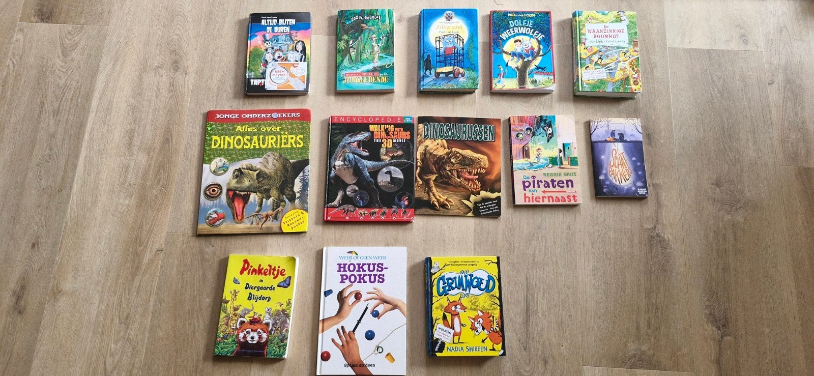 Collectie kinderboeken: avontuur, fantasie en meer, Ophalen, Gelezen, Fictie algemeen