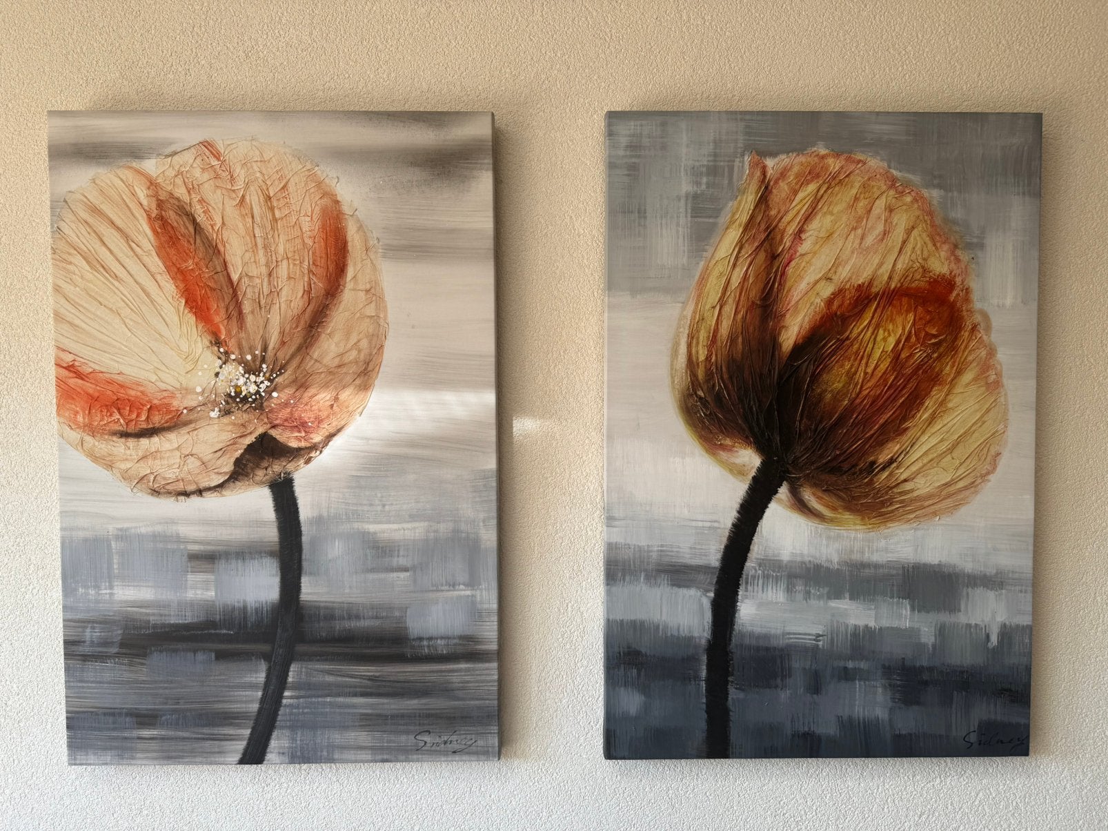 2x schilderij klaproos, Ophalen, Zo goed als nieuw, Schilderij