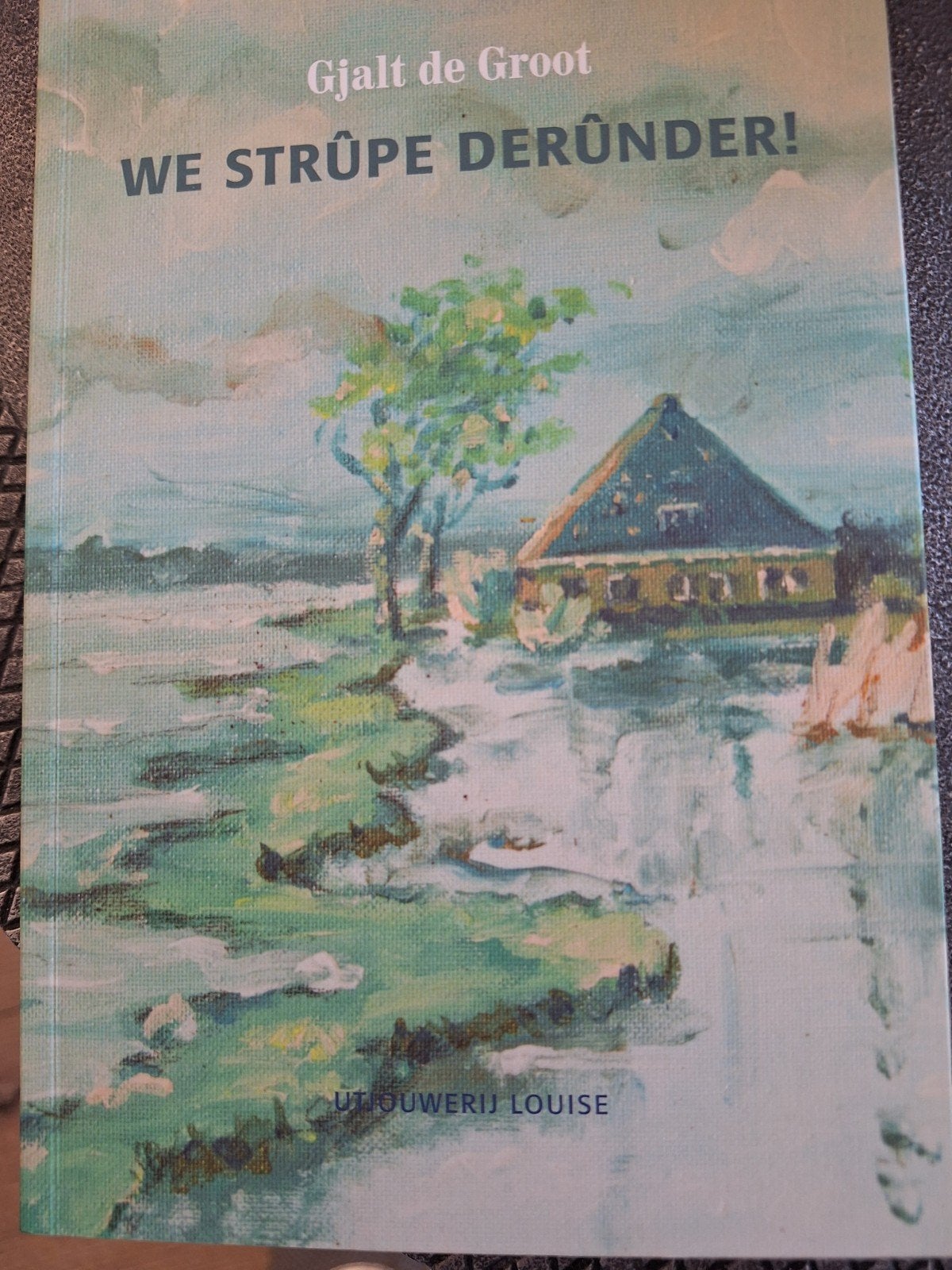 Gjalt de Groot - We Strûpe Derûnder! (Friese roman), Boeken, Ophalen of Verzenden, Nieuw, Gjalt de Groot, Nederland