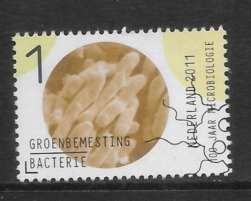 2011, Microbiologie, Groenbemesting [2838] (K3104), Ophalen of Verzenden