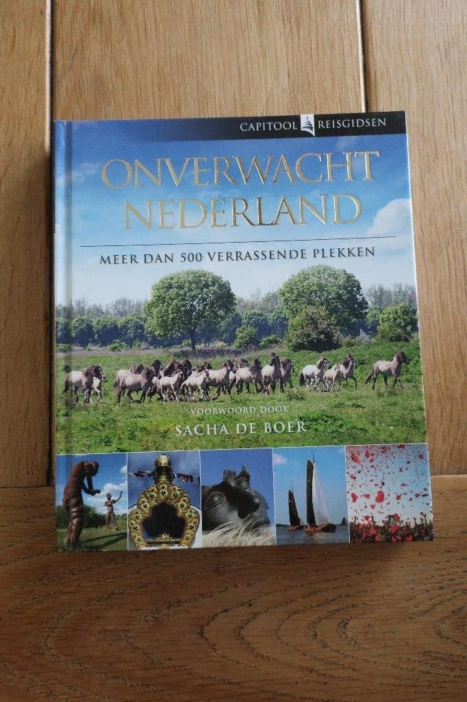 Capitool reisgidsen - Onverwacht Nederland, Boeken, Ophalen of Verzenden, Zo goed als nieuw, Overige religies
