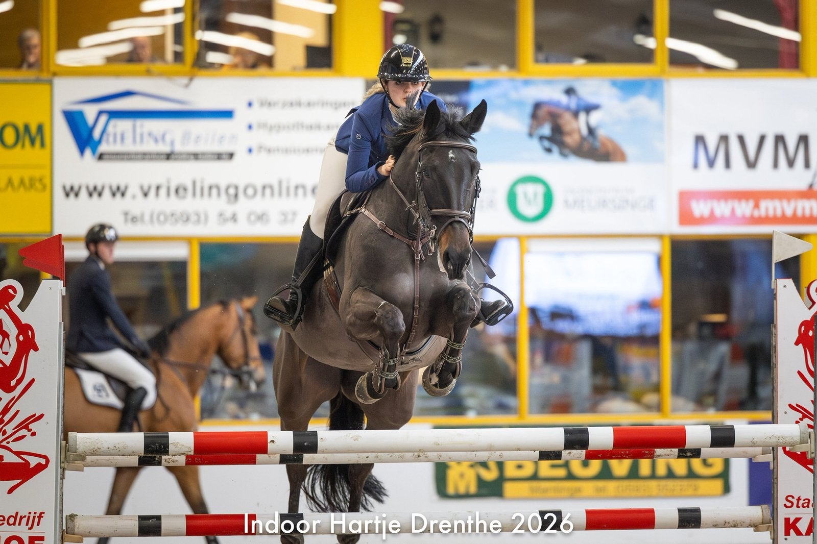 Allround paarden hulp!, Diensten en Vakmensen, Dieren | Paarden | Verzorging, Oppas en Les, Verzorging of Verzorgpony's