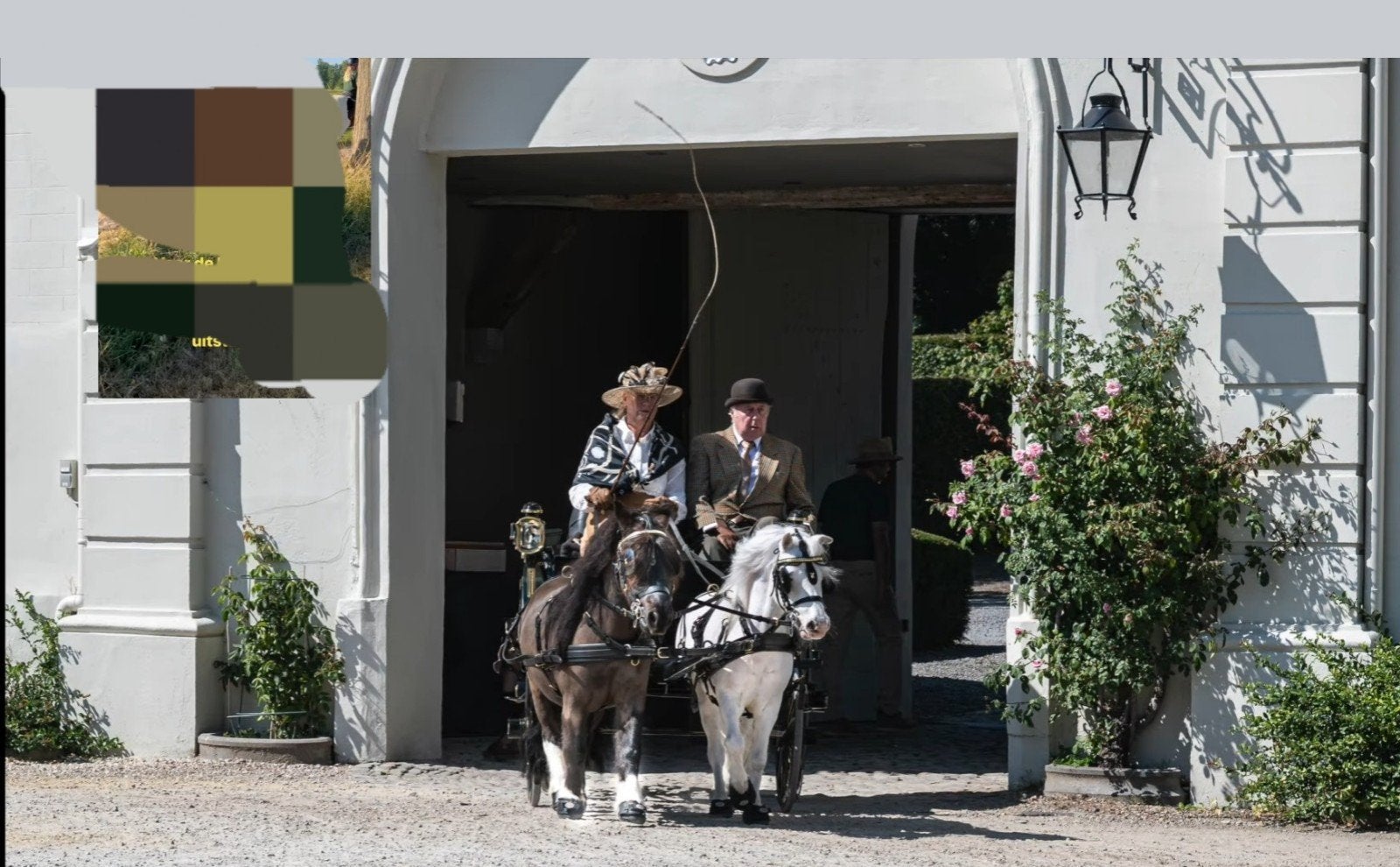 gezocht hulp, groom bij mennen met ponys vlakbij Hoogeveen, Ophalen
