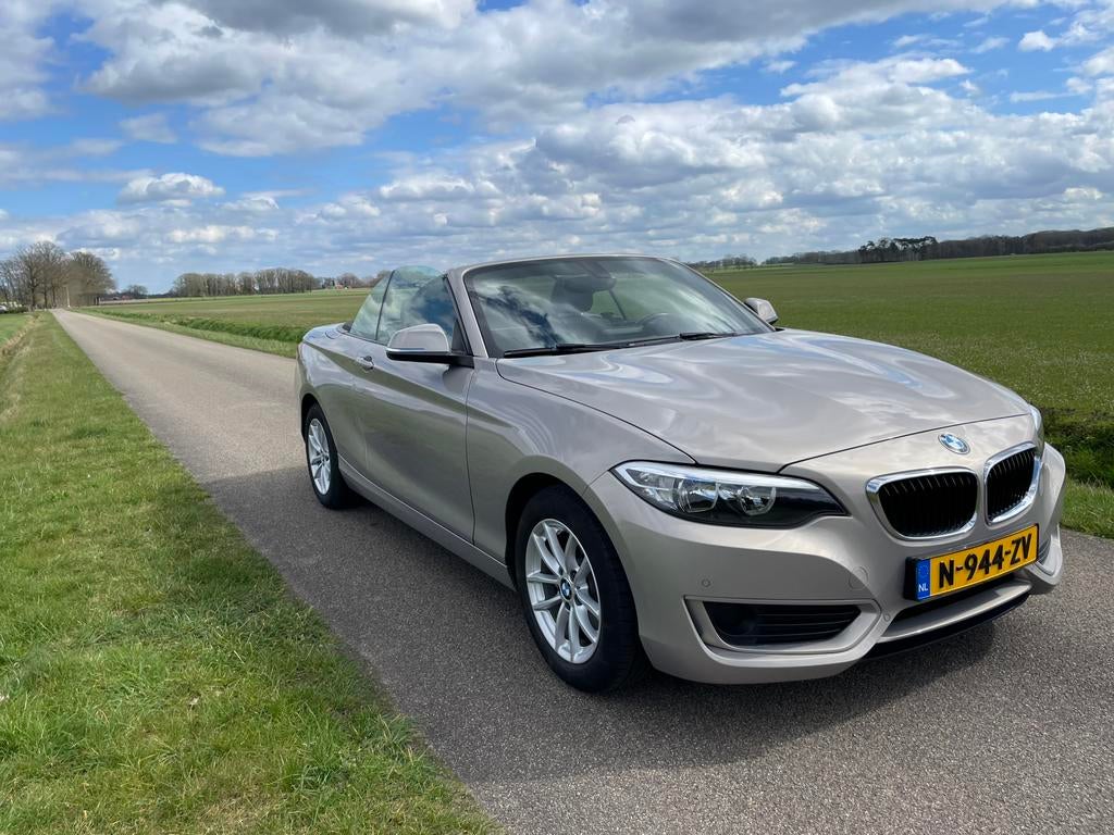 BMW 2-serie Cabrio 220i Grijs | Stoelverwarming | Windscherm, Auto's, BMW, 183 pk, Zwart, 4 cilinders, Cabriolet